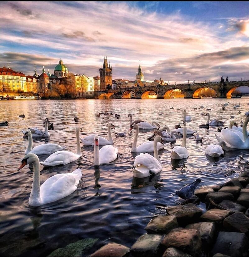 viaggi epifania 2020: visitare Praga