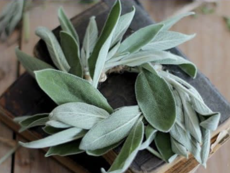 cliomakeup-irritazione-da-sudore-17