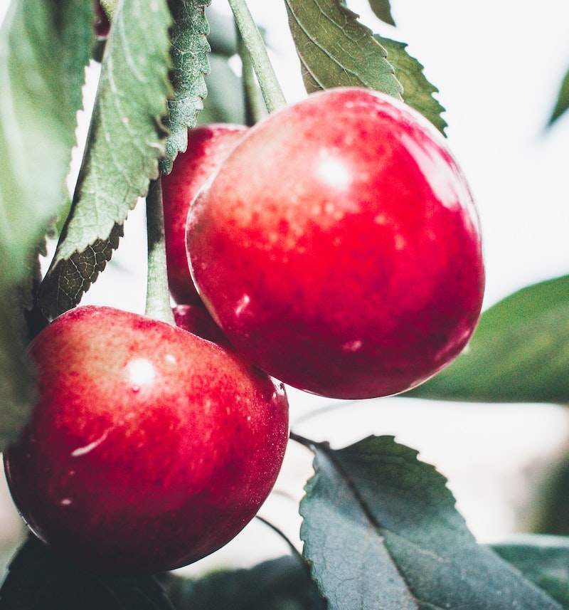 cliomakeup-cuoio-capelluto-teamclio-aceto-di-mele