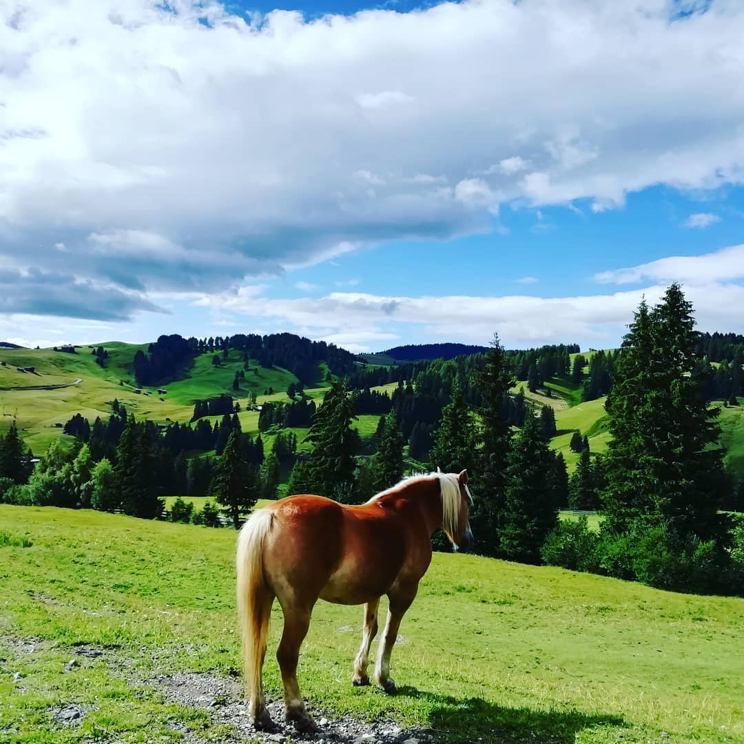 cliomakeup-viaggio-trentino10-siusi