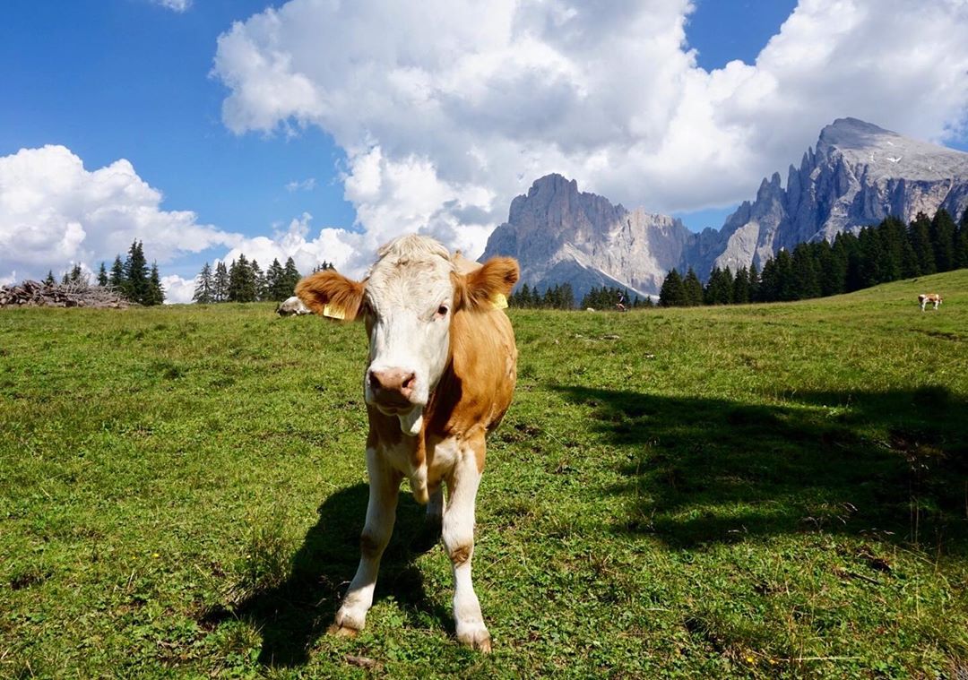 cliomakeup-viaggio-trentino11-siusi