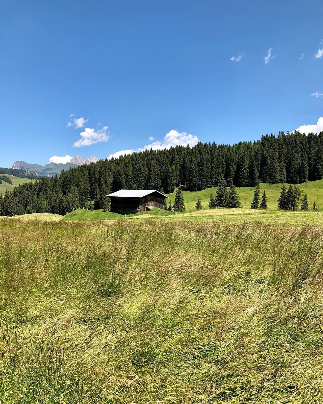 cliomakeup-viaggio-trentino12-siusi