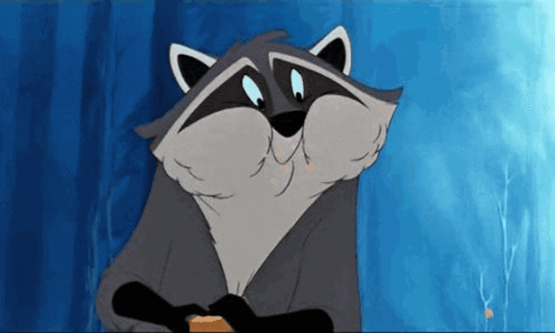Cliomakeup-alimenti-ricchi-proteine-19-gif