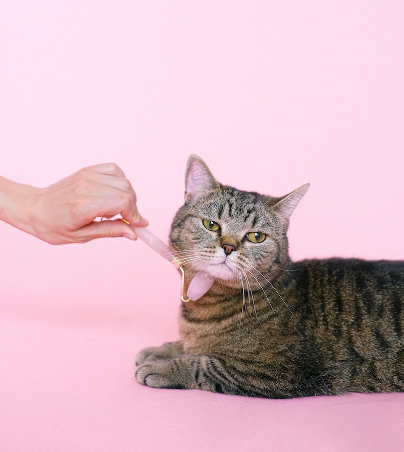 cliomakeup-rullo-giada-teamclio-7