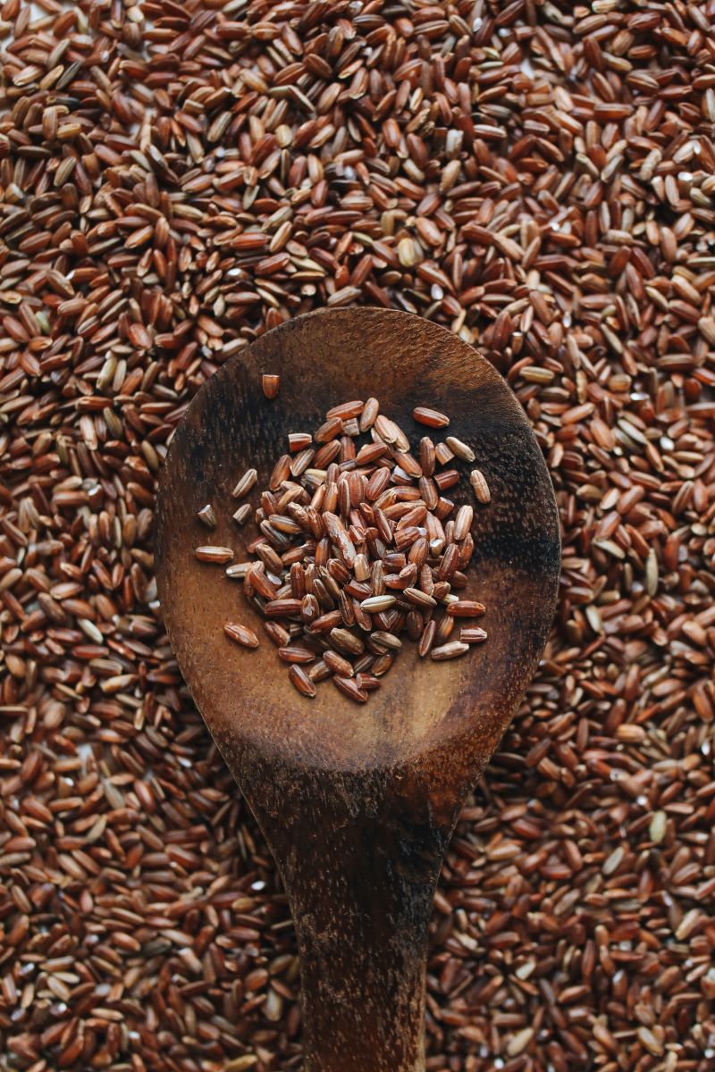 Cliomakeup-idee-alimentazione-2021-10-riso