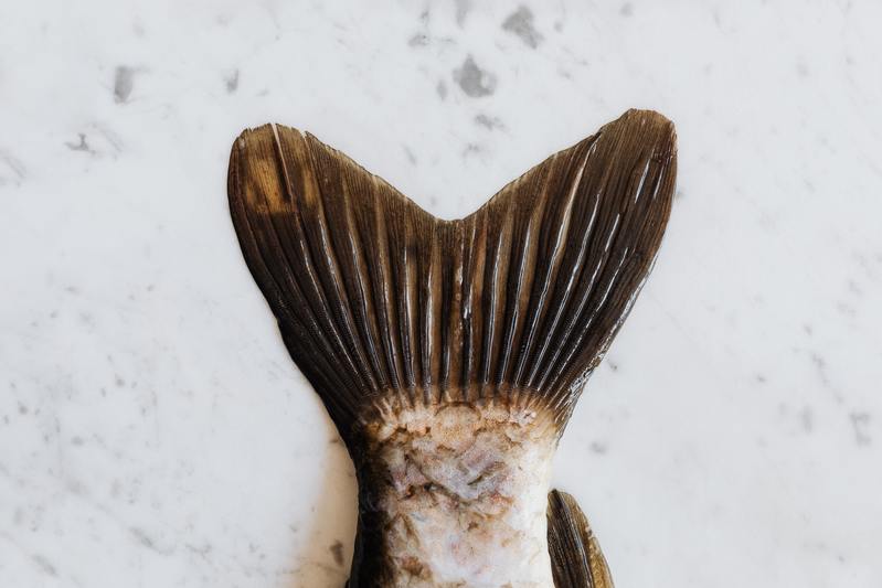 Cliomakeup-sindrome-metabolica-17-pesce