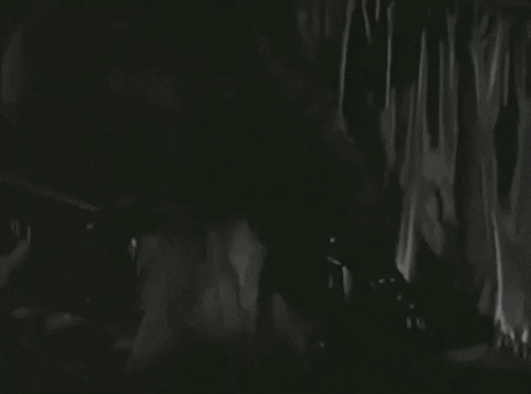 cliomakeup-collant-primavera-2021-saluti