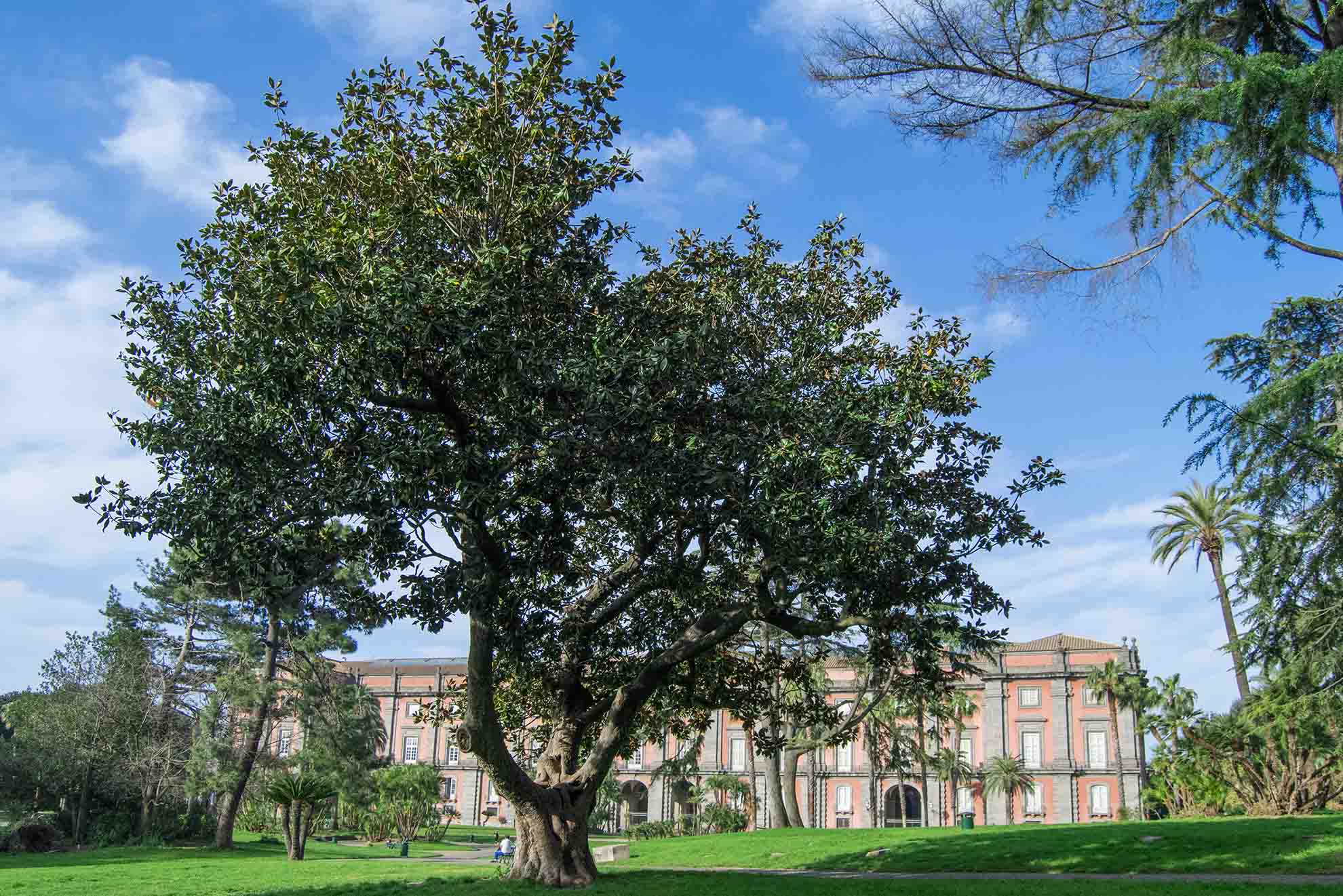 cliomakeup-eventi-Pasqua-2021-2-napoli