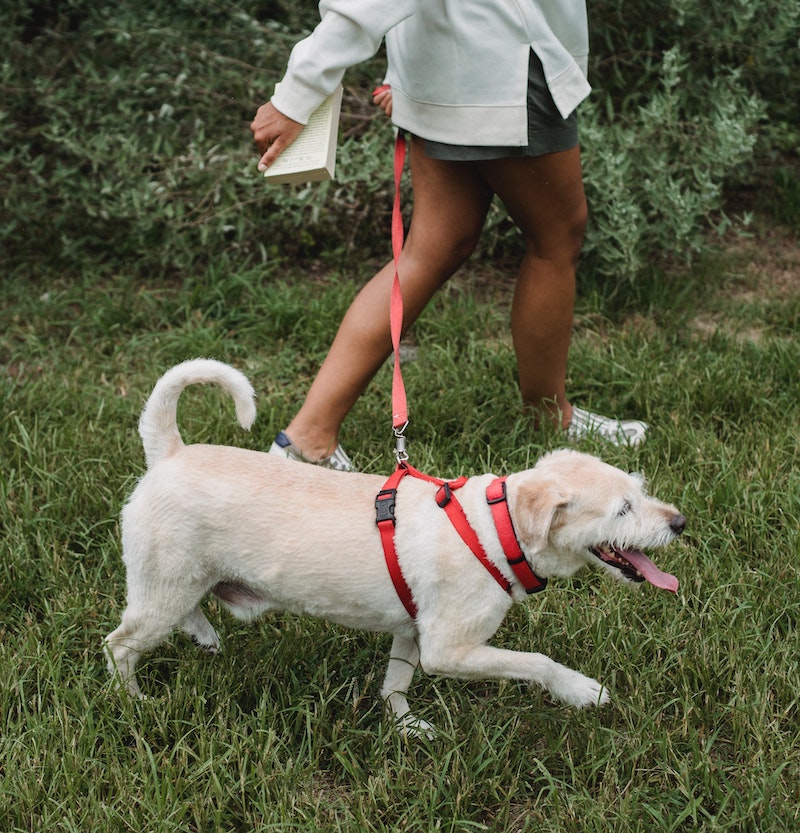 cliomakeup-camminare-nella-natura-teamclio-13