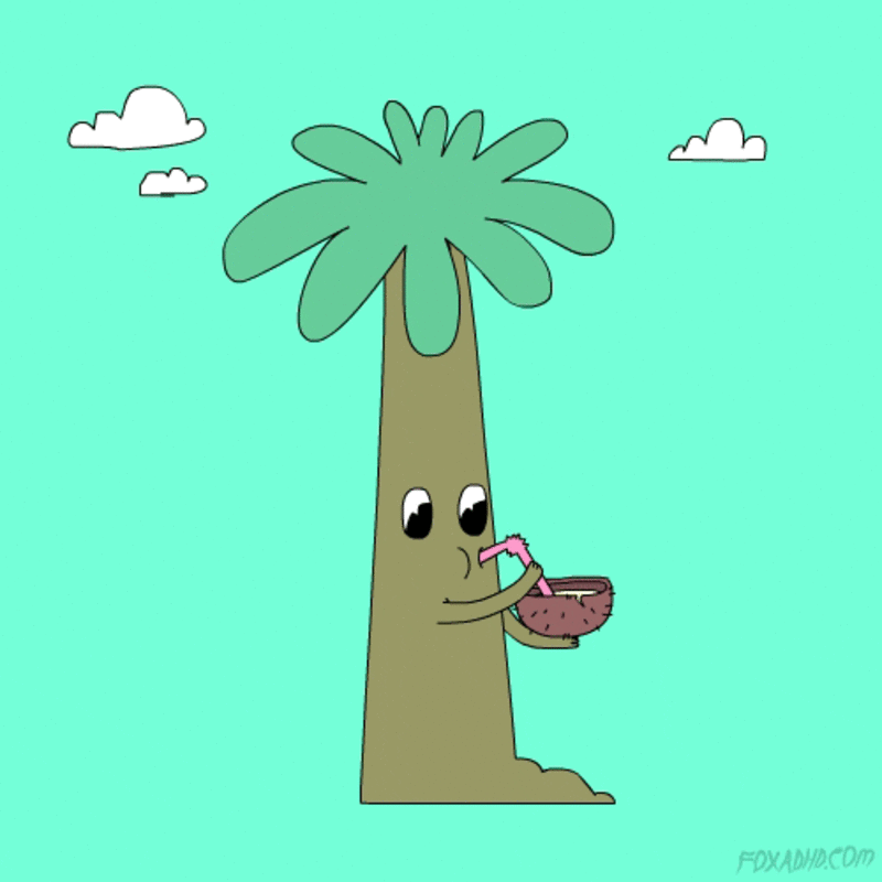 cliomakeup-olio-di-cocco-alimentare-20-gif
