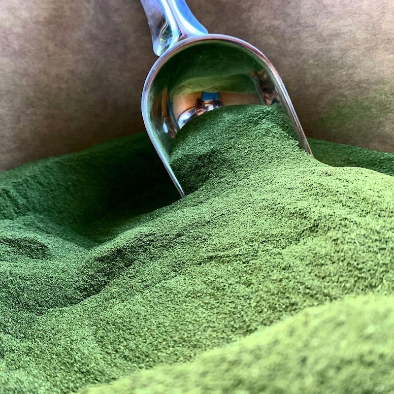 cliomakeup-olio-moringa-teamclio-15