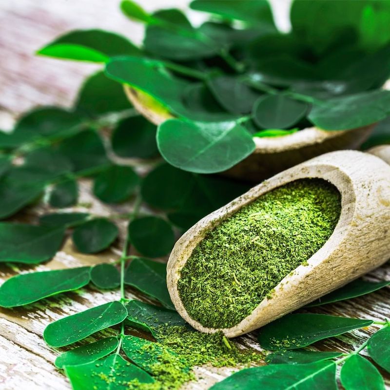 cliomakeup-olio-moringa-teamclio-17