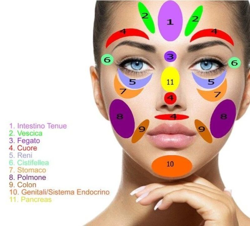 cliomakeup-riflessologia-facciale-mappa