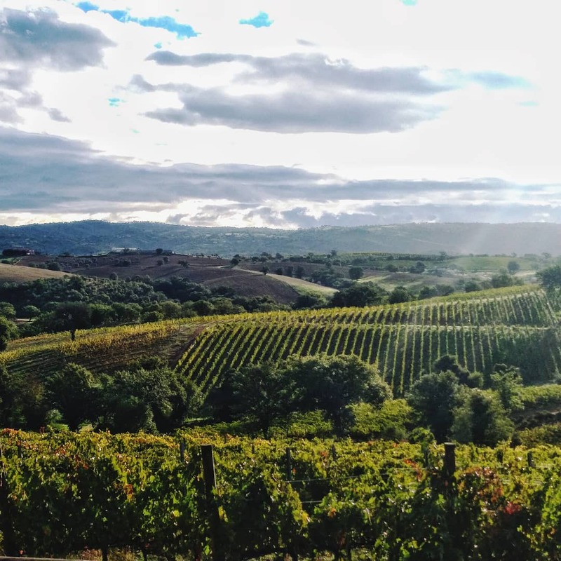 cliomakeup-viaggi-in-camper-maremma-toscana