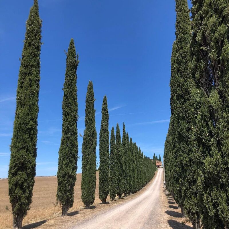 cliomakeup-viaggi-in-camper-toscana