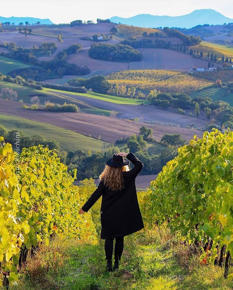 cliomakeup-cena-vigna-15