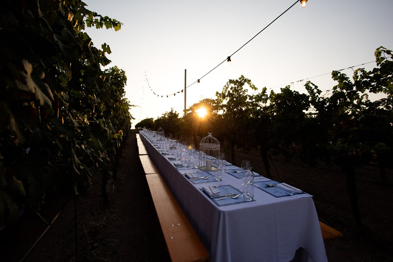 cliomakeup-cena-vigna-16