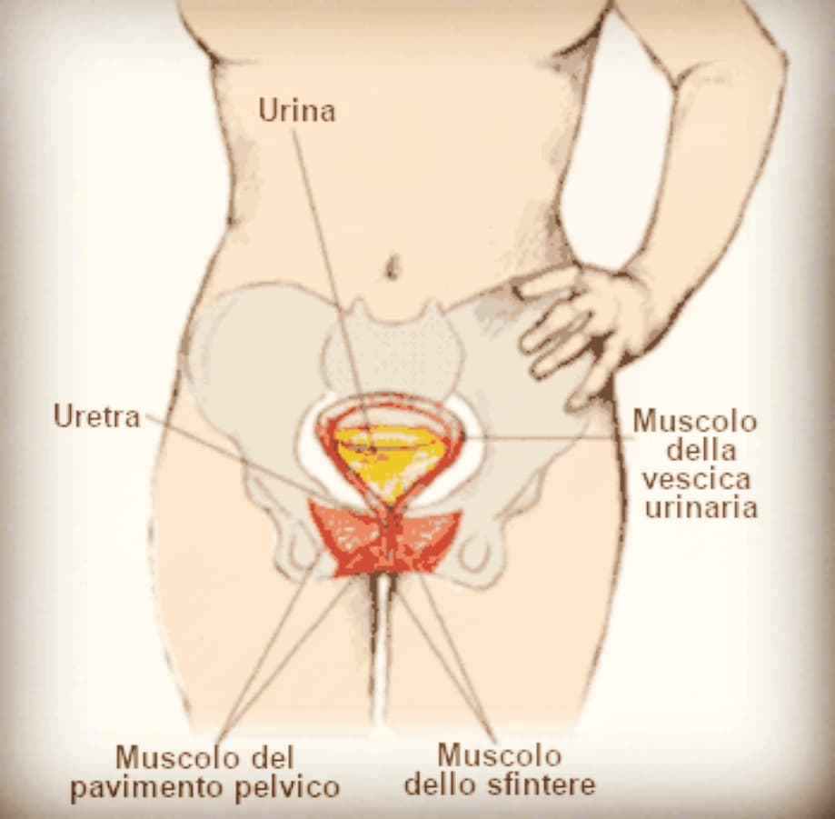 cliomakeup-nicturia-5