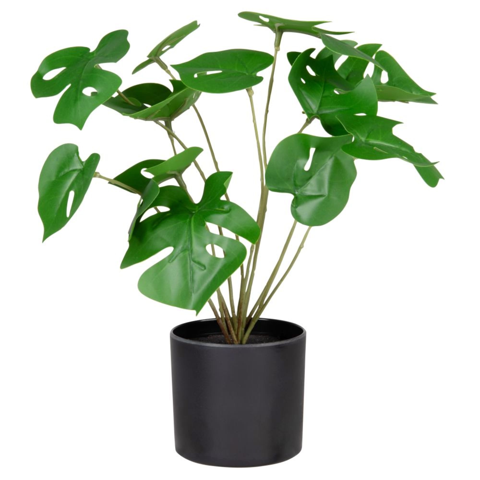 cliomakeup-maisons-du-monde-2021-18