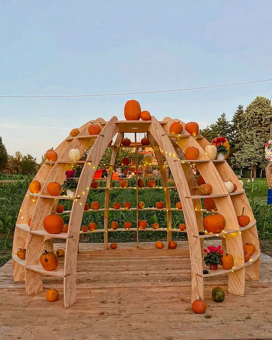 cliomakeup-campi-di-zucche-italia-2022-39