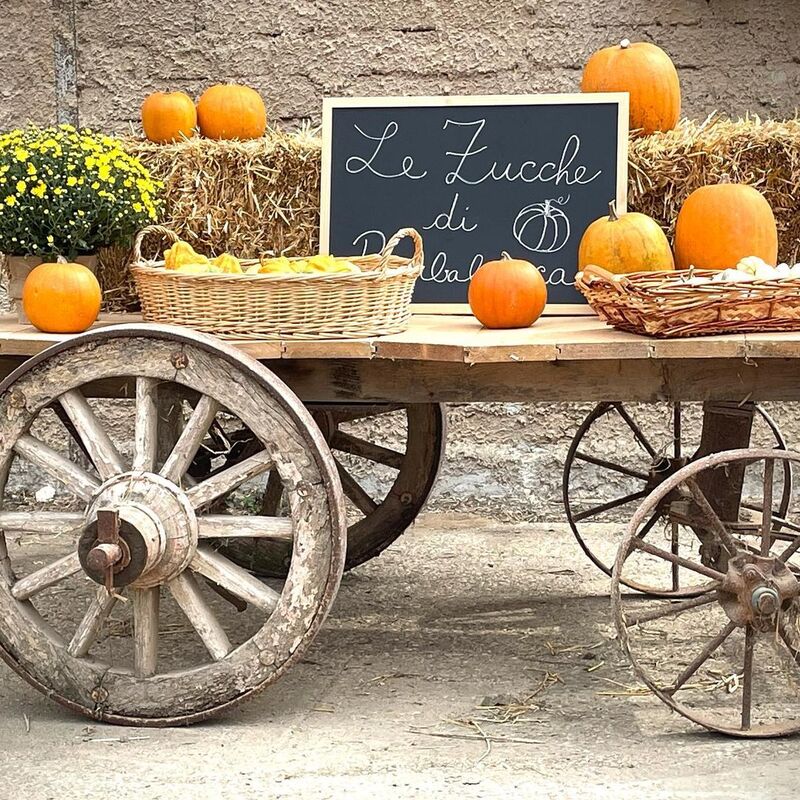 cliomakeup-campi-di-zucche-le-zucche-di-barbabianca-lazio