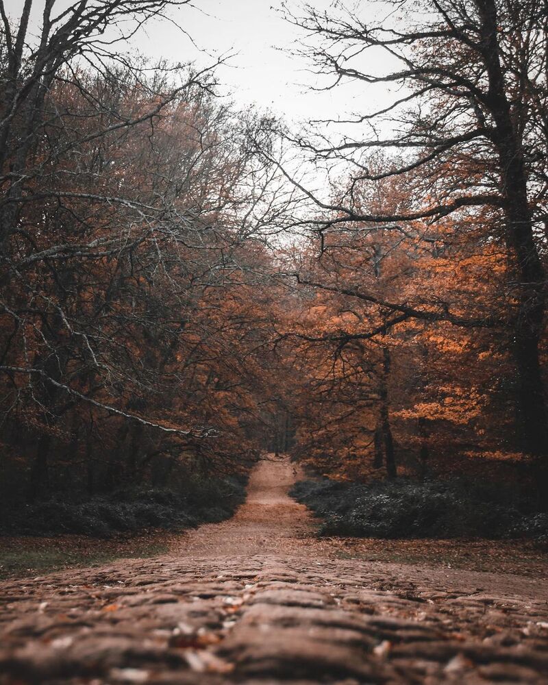 cliomakeup-passeggiate-castagne-bambini-bosco-di-manziana