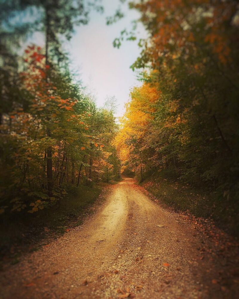 cliomakeup-passeggiate-castagne-bambini-capradosso