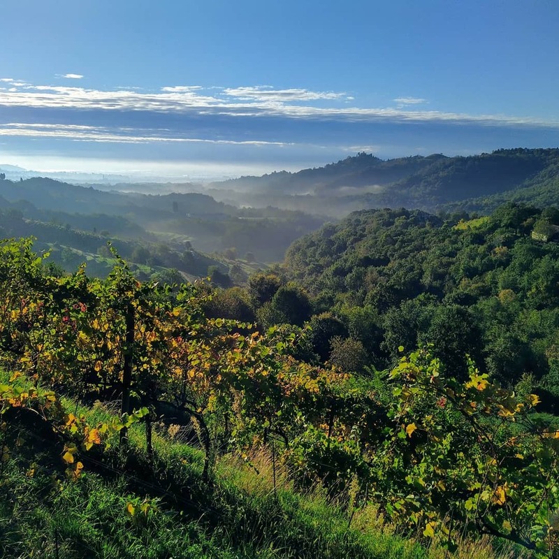 cliomakeup-passeggiate-castagne-bambini-montevecchia