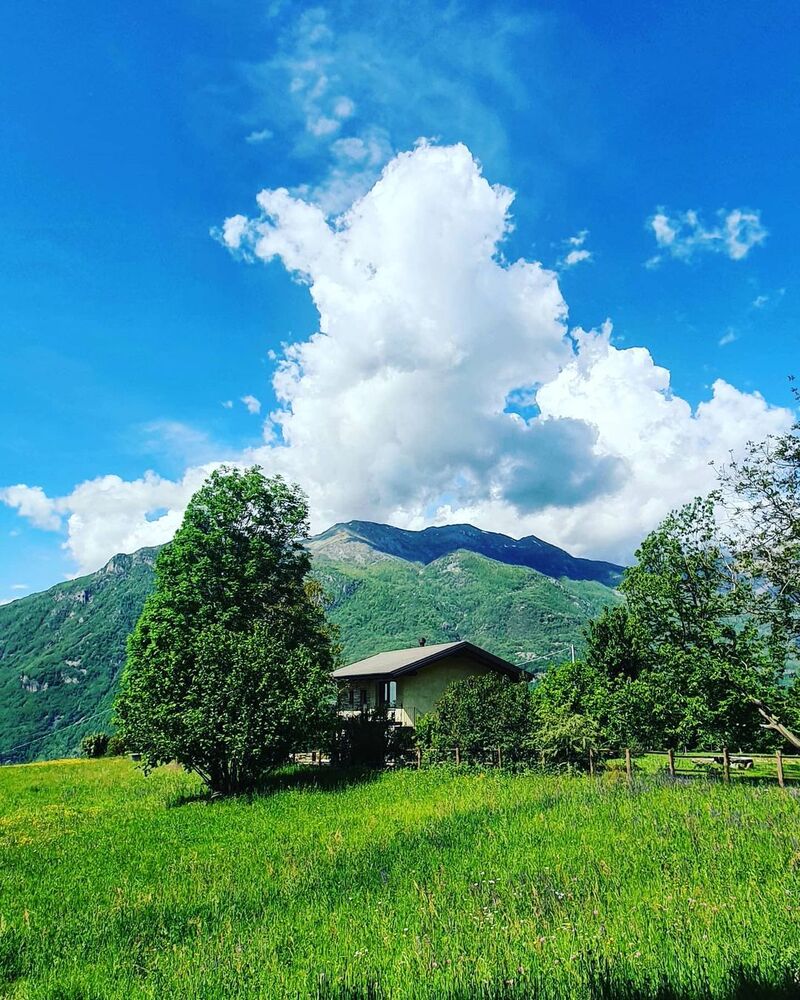 cliomakeup-passeggiate-castagne-bambini-nomaglio