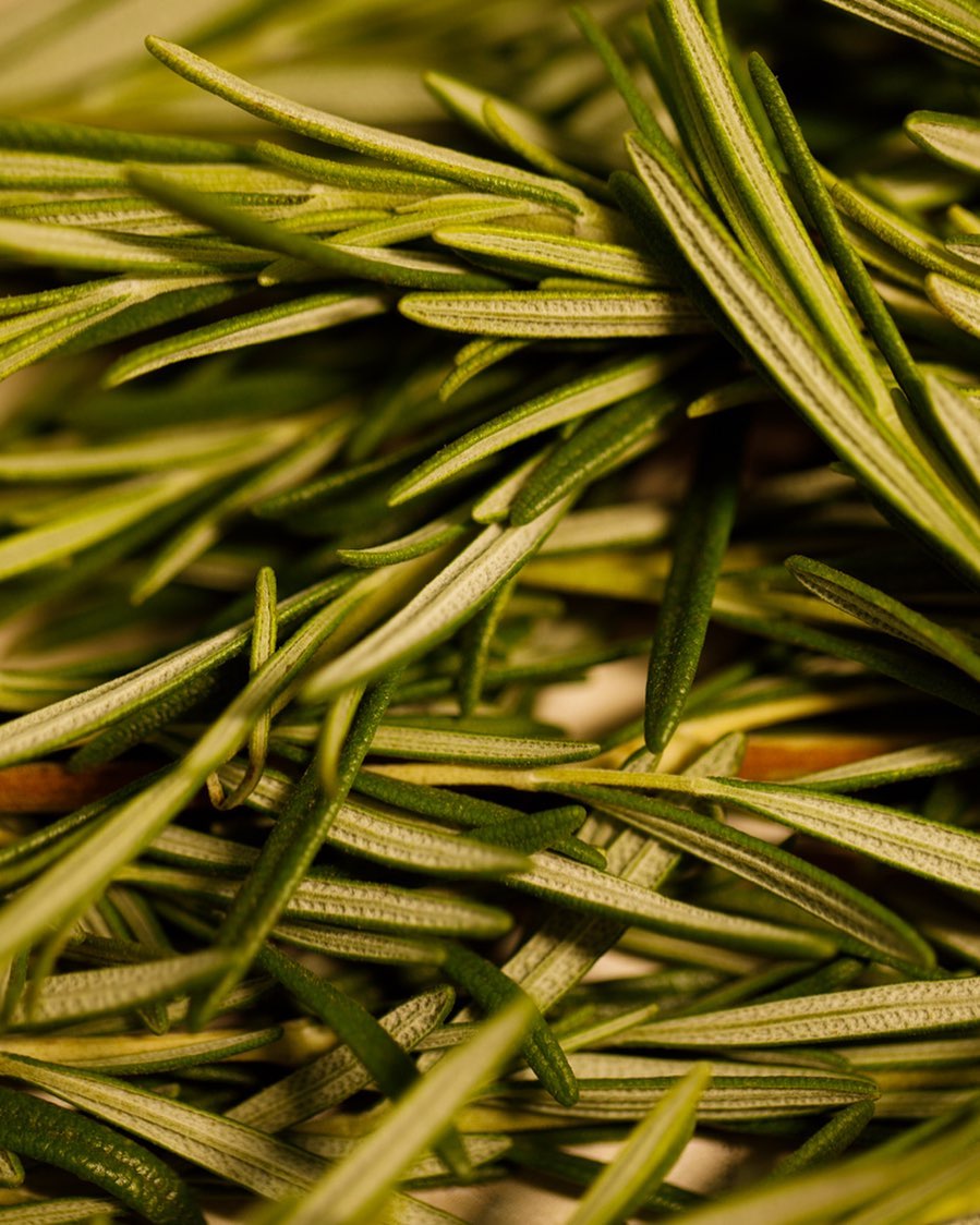 cliomakeup-olio-rosmarino-capelli-teamclio-8