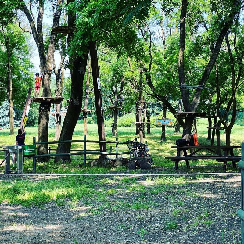 cliomakeup-parchi-divertimento-lombardia-tree-experience