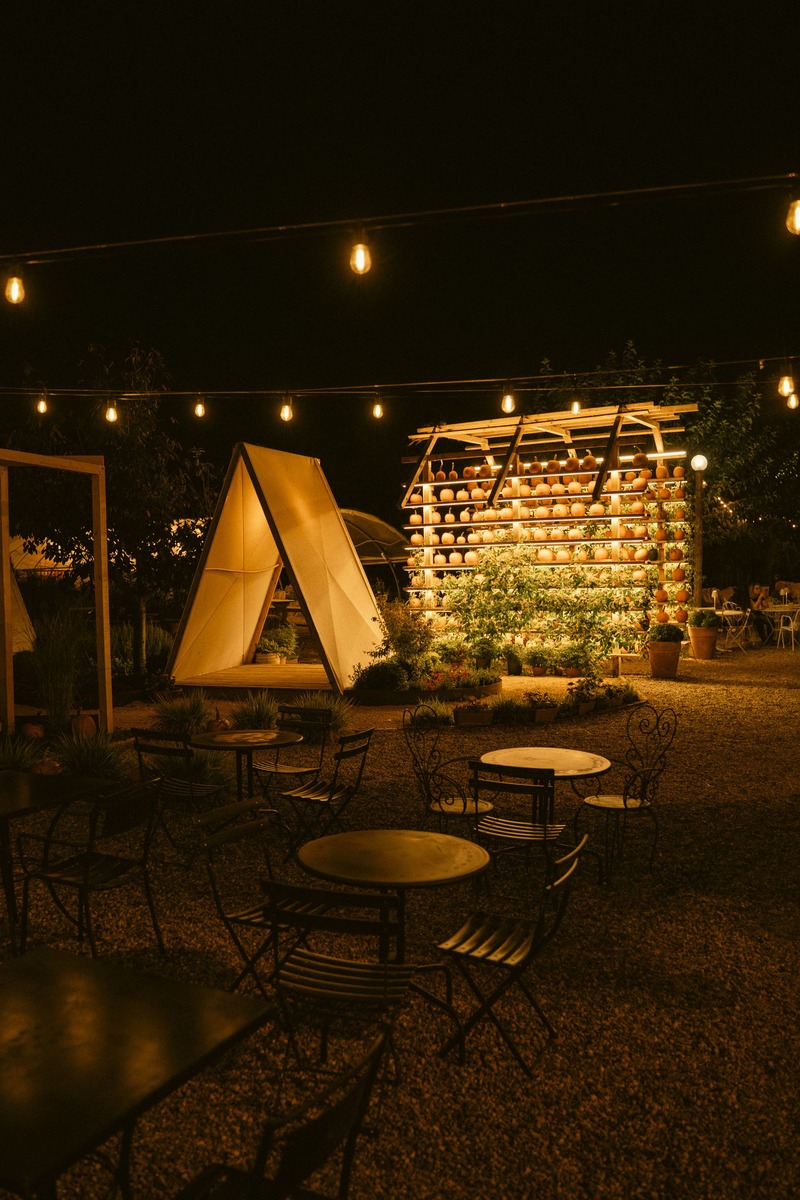 campi-zucche-il-campo-di-federica-by-night