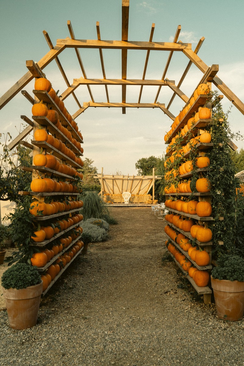 campi-zucche-il-campo-di-federica-pumpkin-patch