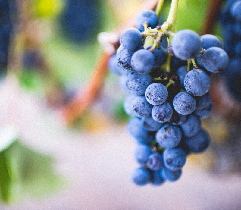 cliomakeup-maschera-viso-fai-da-te-autunno-teamclio-antirughe