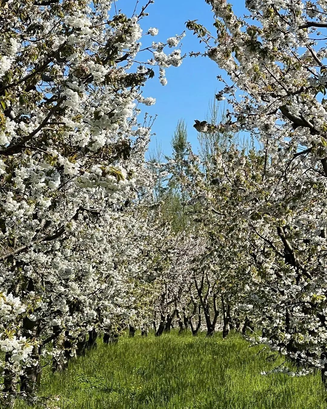 cliomakeup-viaggi-pasqua-2023-2