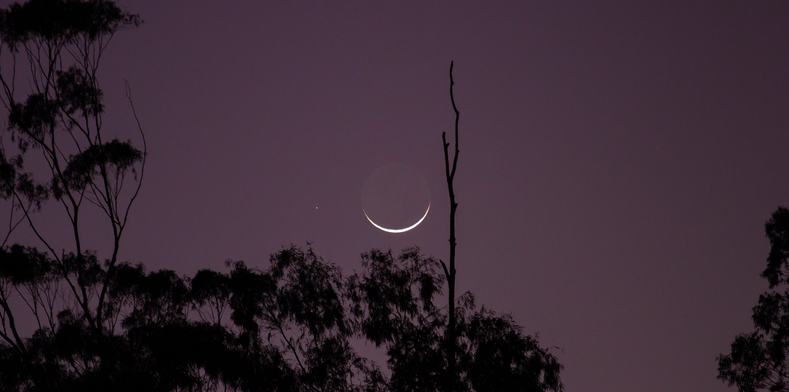 Luna piena con Eclissi di Luna, 28 ottobre 2023: gli effetti e le influenze  dei transiti sui segni zodiacali