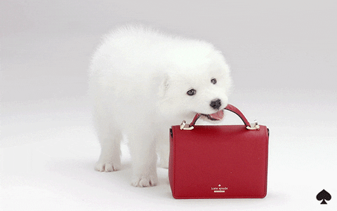 cliomakeup-come-indossare-borsa-rossa-fine