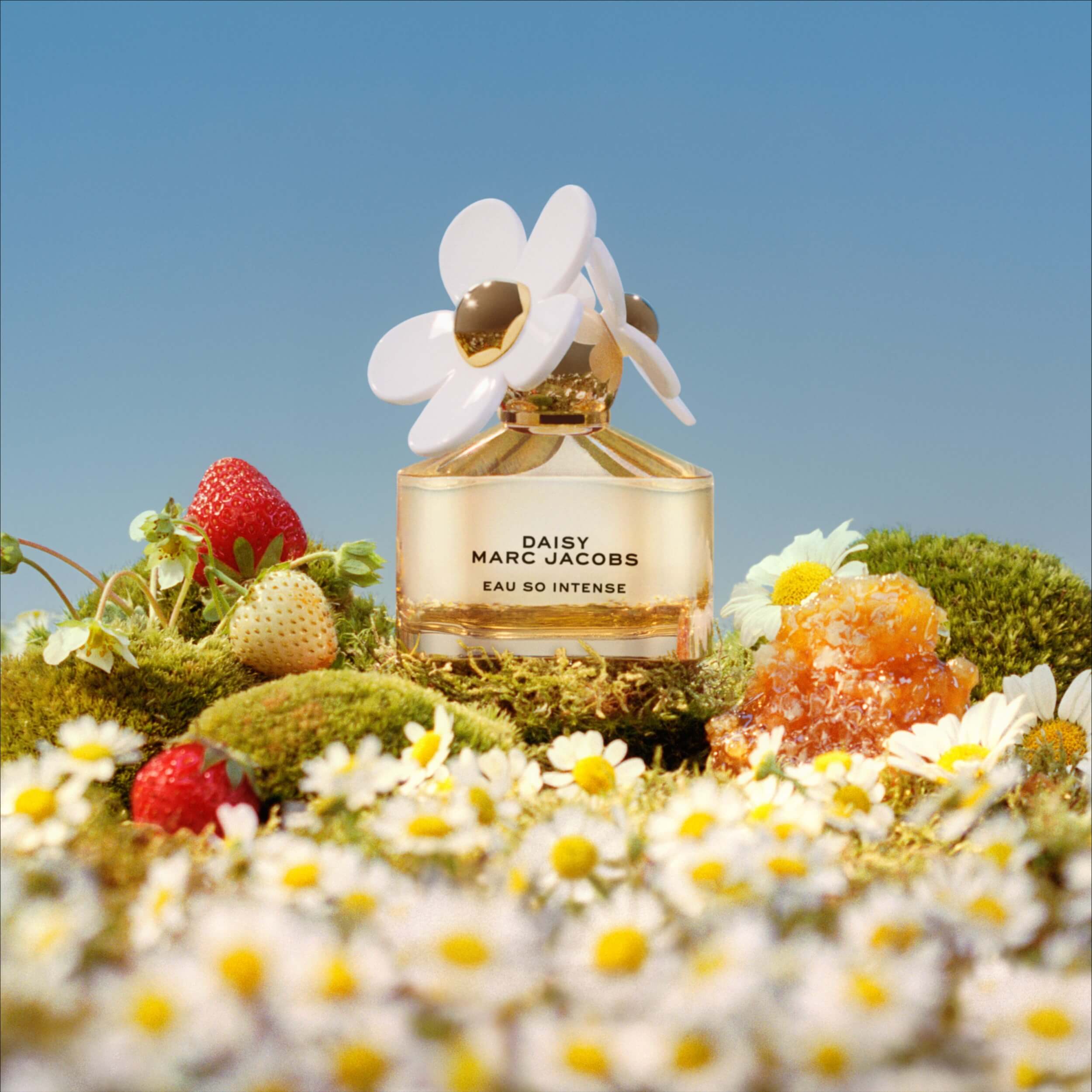 cliomakeup-profumi-miele-11