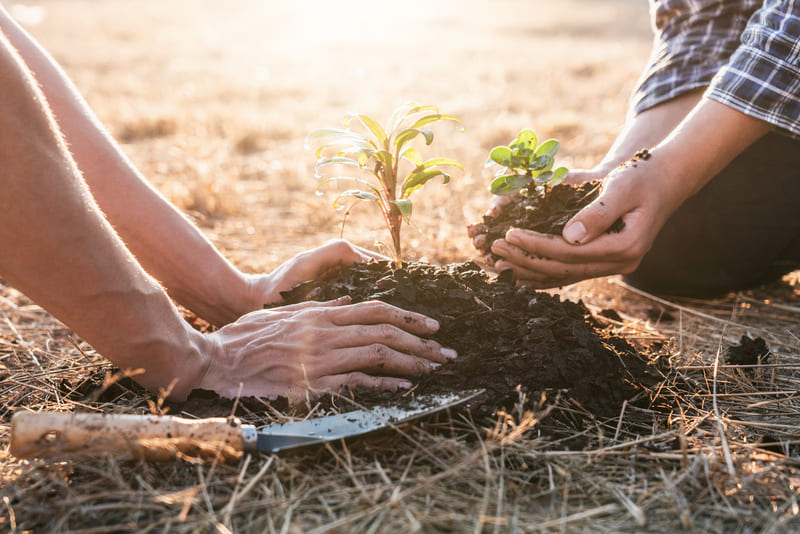 cliomakeup-solastalgia-azioni