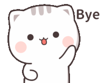 flop-team-agosto-2024-fine