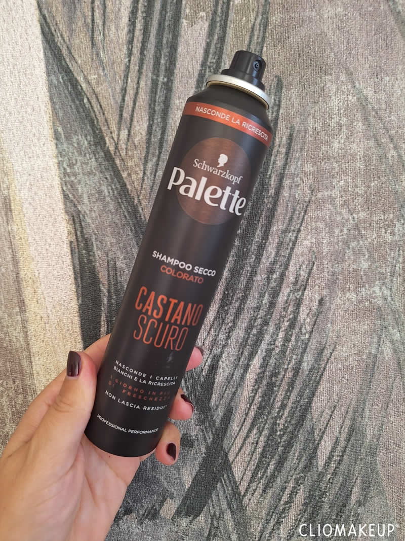 flop-team-agosto-2024-shampoo-secco-palette