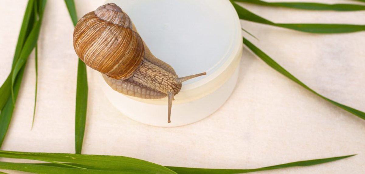 crema-viso-bava-di-lumaca-cover