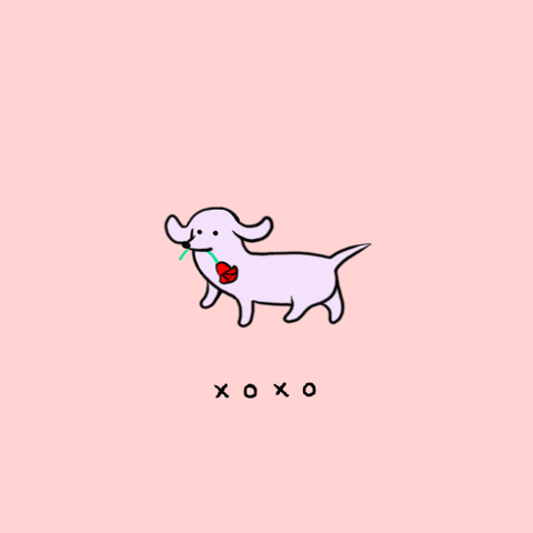 Curtain-bob-corto gif