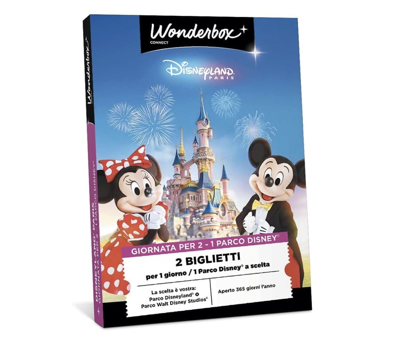 esperienze-da-regalare-wonderbox-disneyland