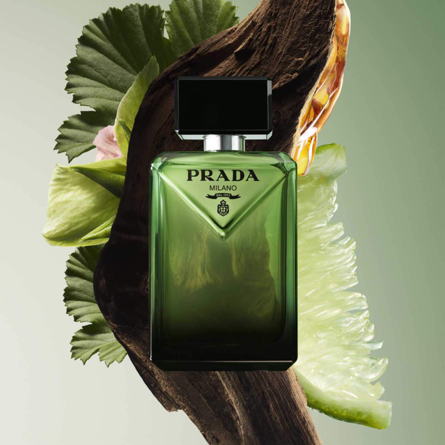 profumi-san-valentino-prada-uomo