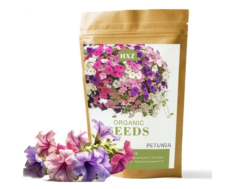 prodotti-casa-marzo-2025-semi-petunia