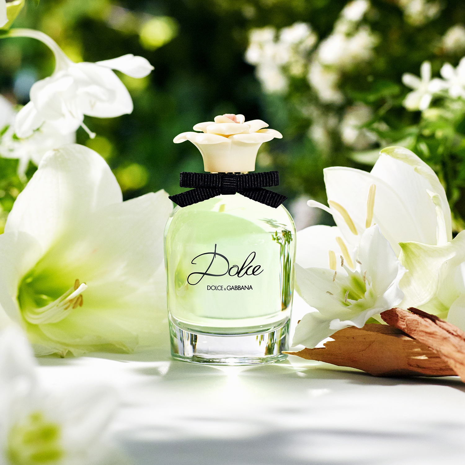 profumi-narciso-dolce-gabbana