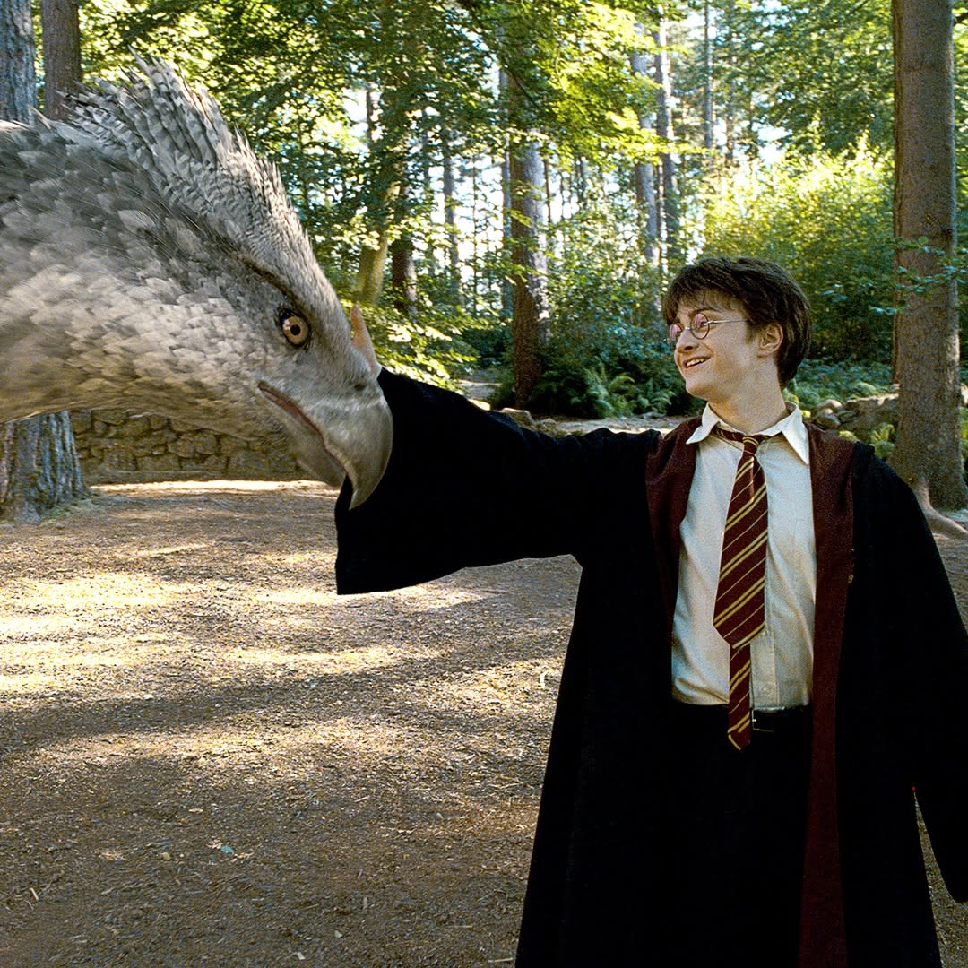 harry-potter-serie-tv-harry