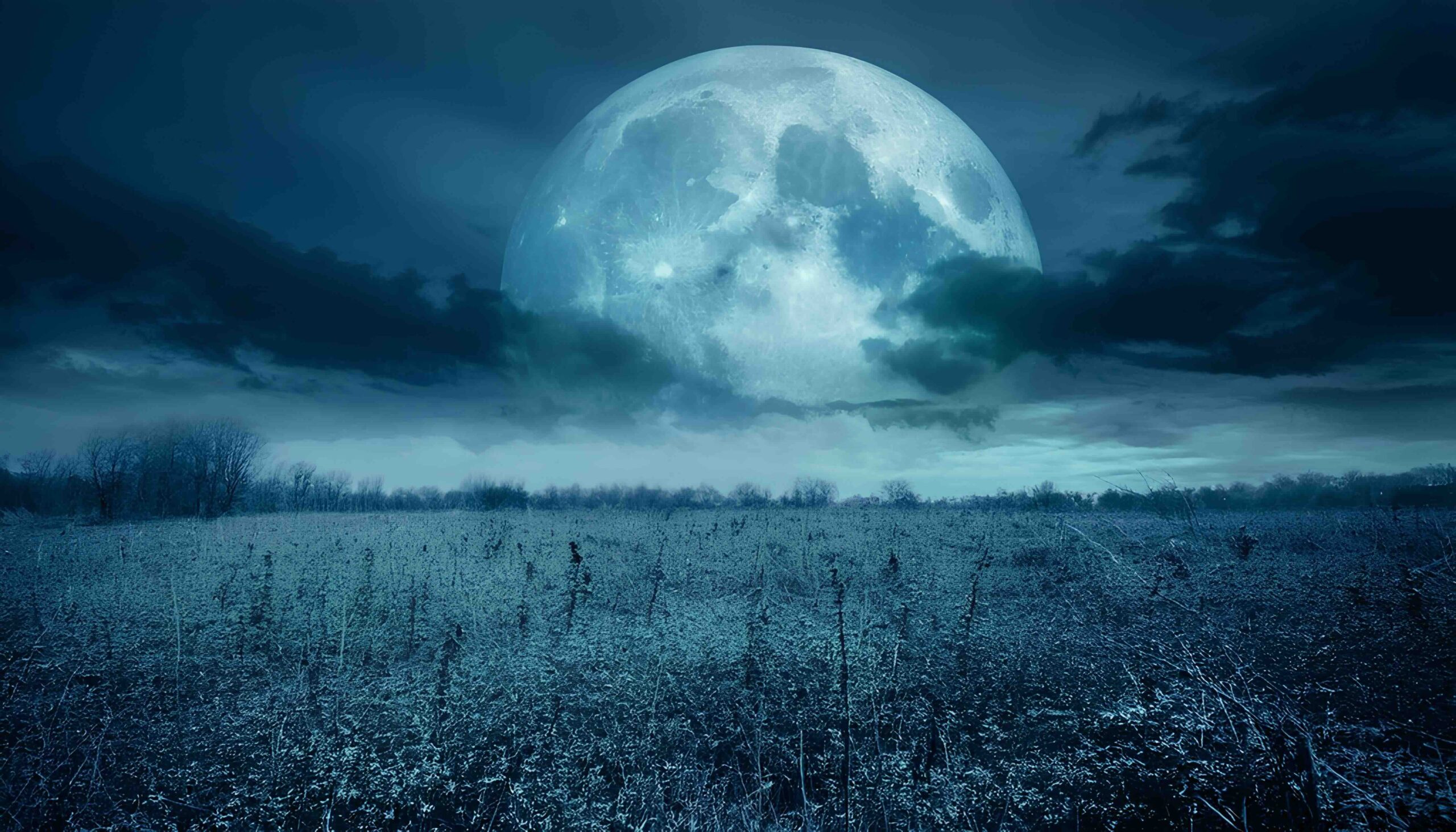 luna-piena-notte-campo