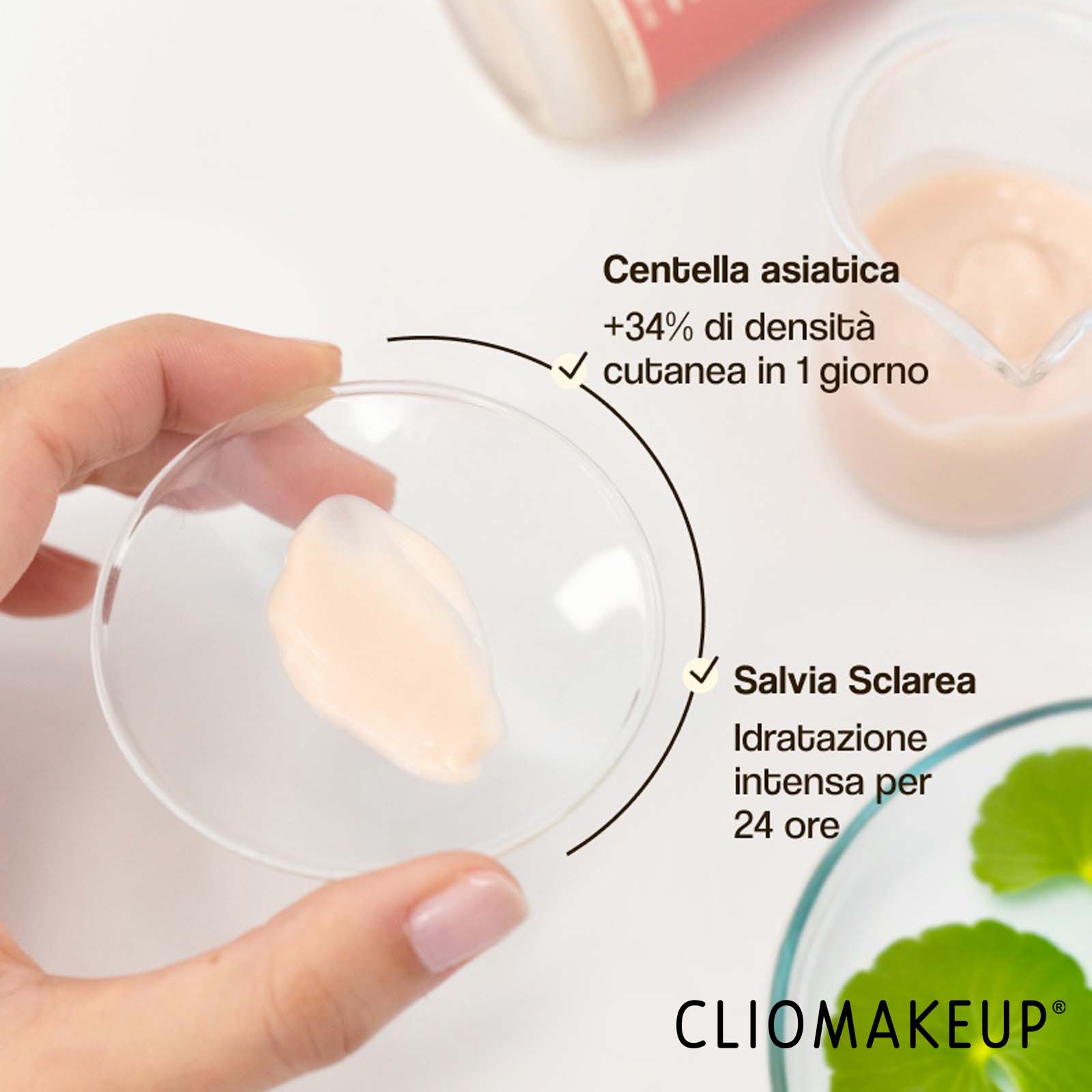recensione-crema-viso-cica-calm-moisturising-cream-ingredienti